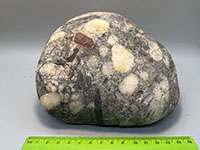 a trightly cemented conglomerate cobble compose of some crushed pebbles of quartz, chert, and dark rock fragments.